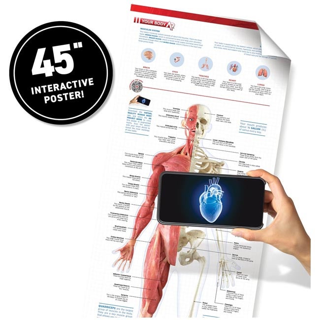 ABACUS VR HUMAN BODY VR GIFT BOX