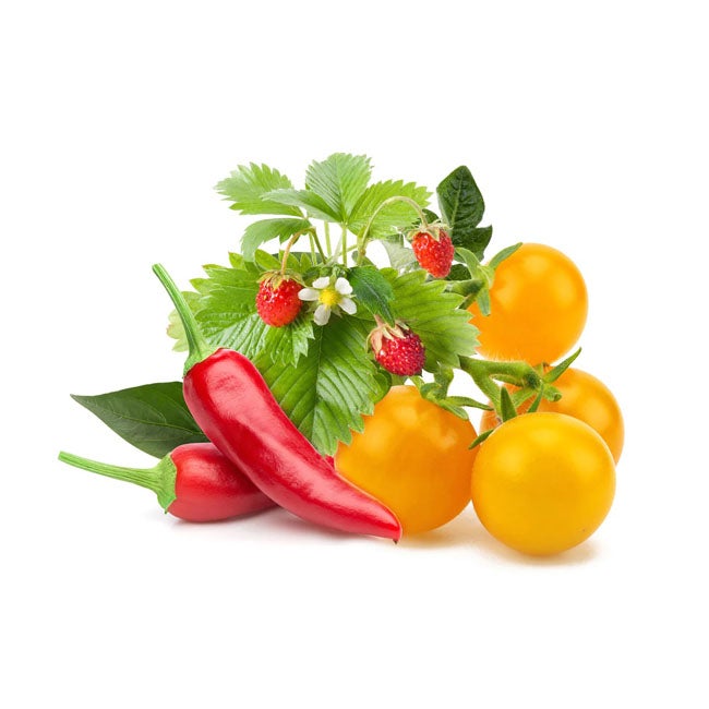CLICK AND GROW FRUIT AND VEGGIE MIX /9-PACK