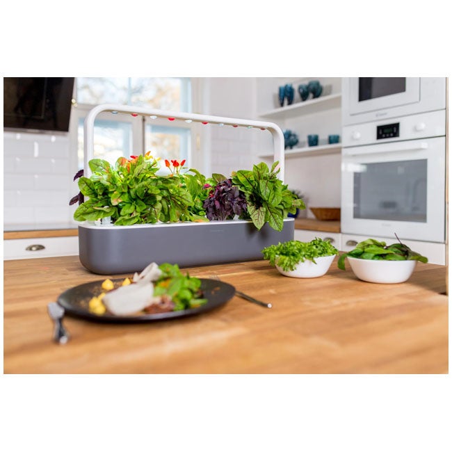 CLICK AND GROW INDOOR SMART GARDEN 9 GREY