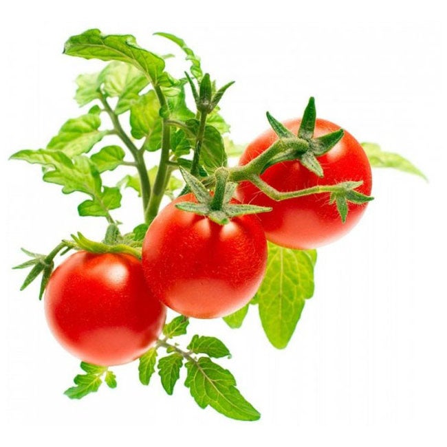 CLICK AND GROW MINI TOMATO REFILL