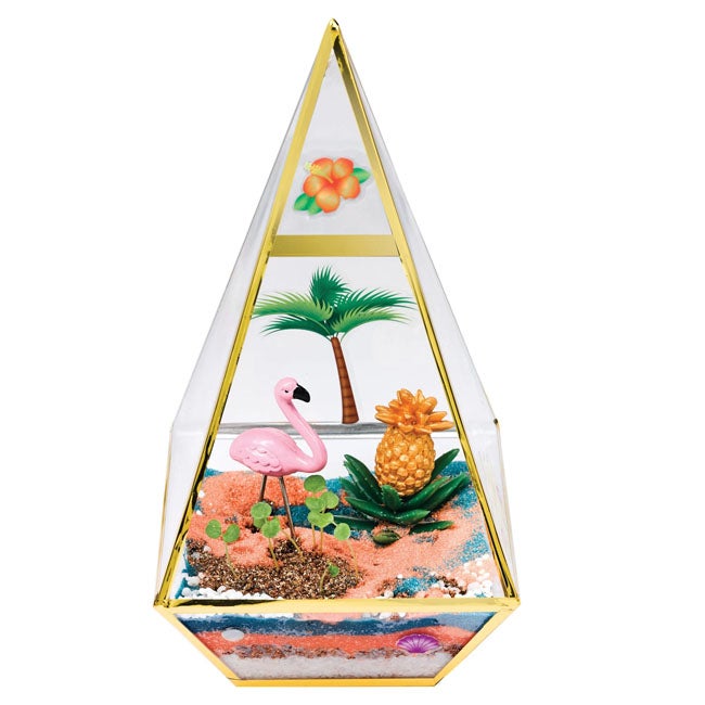CREATIVITY FOR KIDS TROPICAL TERRARIUM