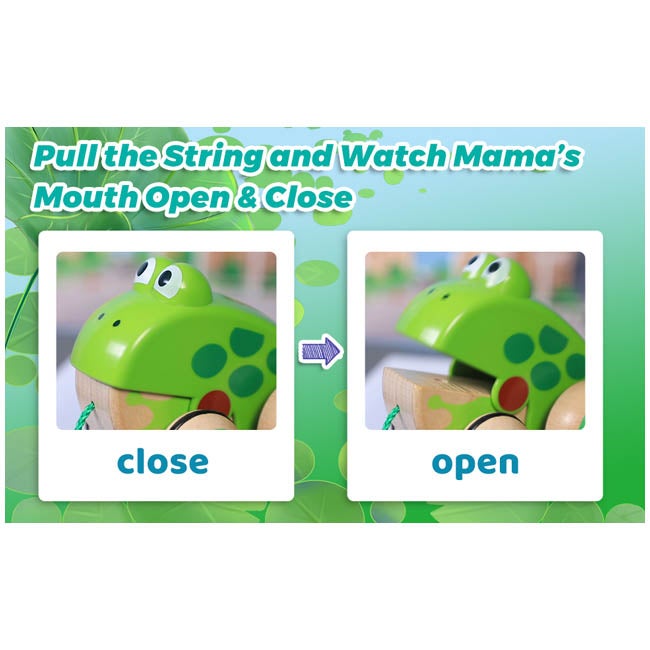 HAPE PULL ALONG FROG FAMILY WOODEN TOY