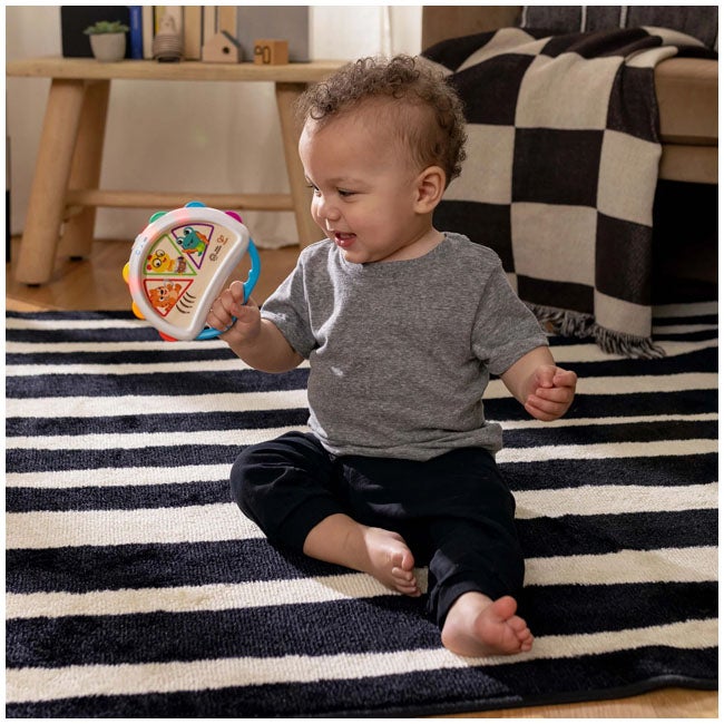 BABY EINSTEIN BY HAPE TAP AND SHAKE MAGIC TOUCH TAMBOURINE