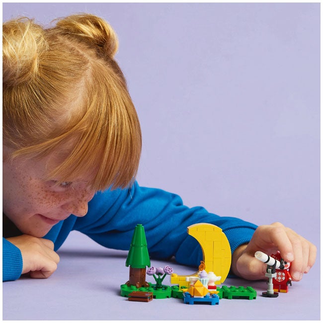 LEGO ANIMAL CROSSING STARGAZING WITH CELESTE