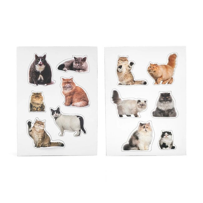 MUSTARD FAT CAT SHAPED MAGNETS SET OF 12