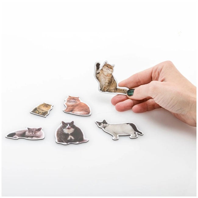 MUSTARD FAT CAT SHAPED MAGNETS SET OF 12