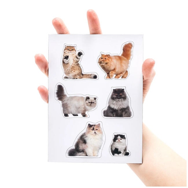 MUSTARD FAT CAT SHAPED MAGNETS SET OF 12