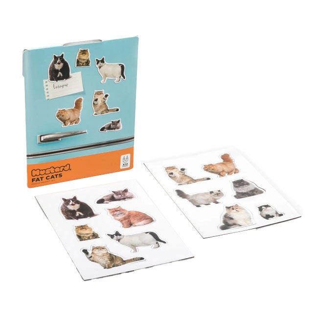MUSTARD FAT CAT SHAPED MAGNETS SET OF 12