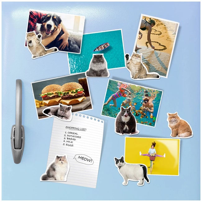 MUSTARD FAT CAT SHAPED MAGNETS SET OF 12