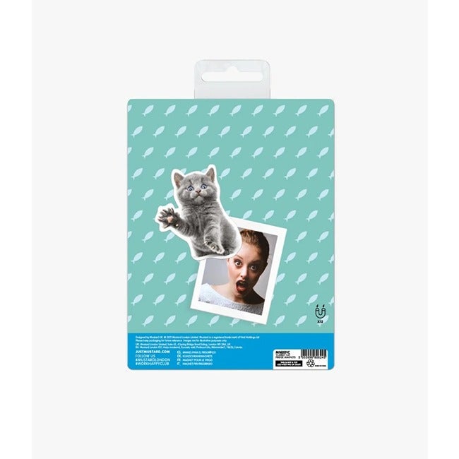 MUSTARD SCAREDY CAT MAGNETS