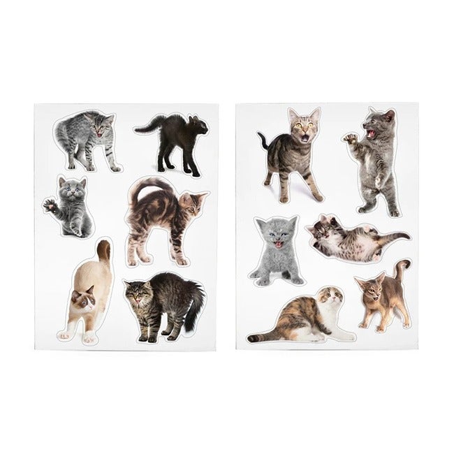 MUSTARD SCAREDY CAT MAGNETS