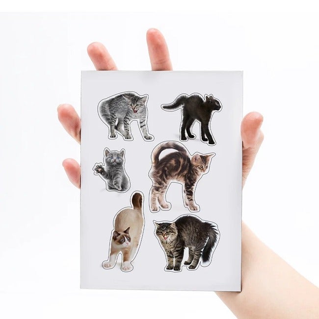 MUSTARD SCAREDY CAT MAGNETS