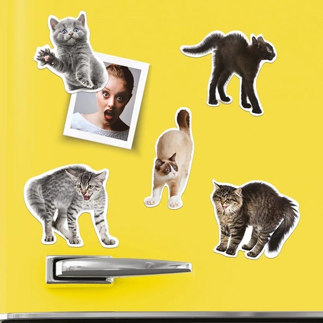 MUSTARD SCAREDY CAT MAGNETS