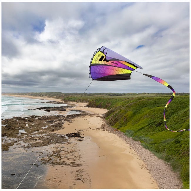 PRISM KITE SINEWAVE MESMERIZING SOFT PARAFOIL - PLASMA
