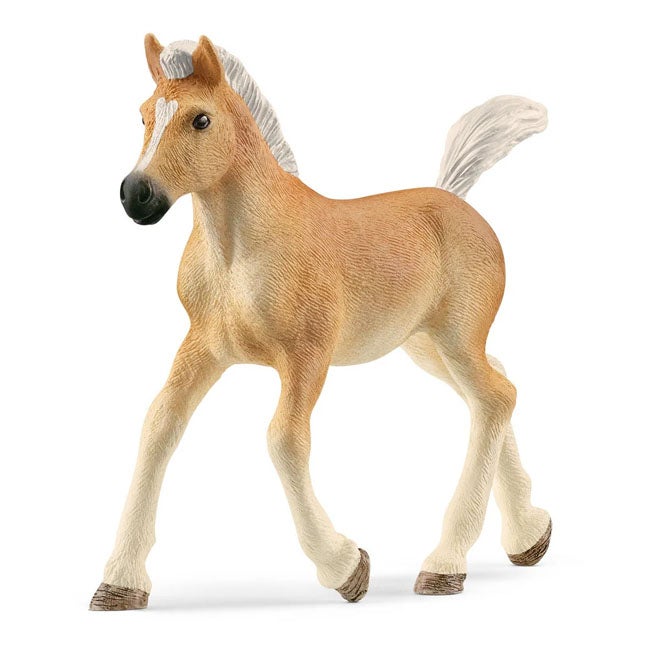 SCHLEICH HAFLINGER FOAL