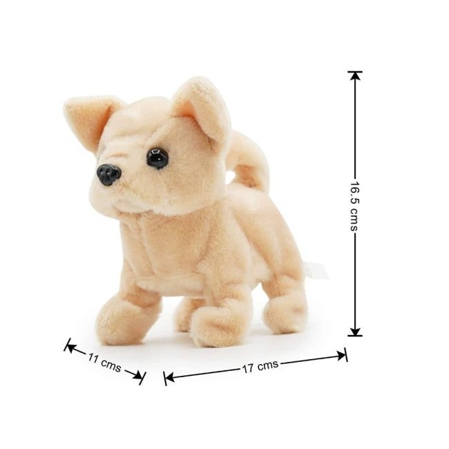 PUGS AT PLAY ACTIVITY DOG CHILLI