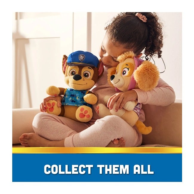 PAW PATROL BEDTIME PLUSH ASSORTED-CHASE AND SKYE