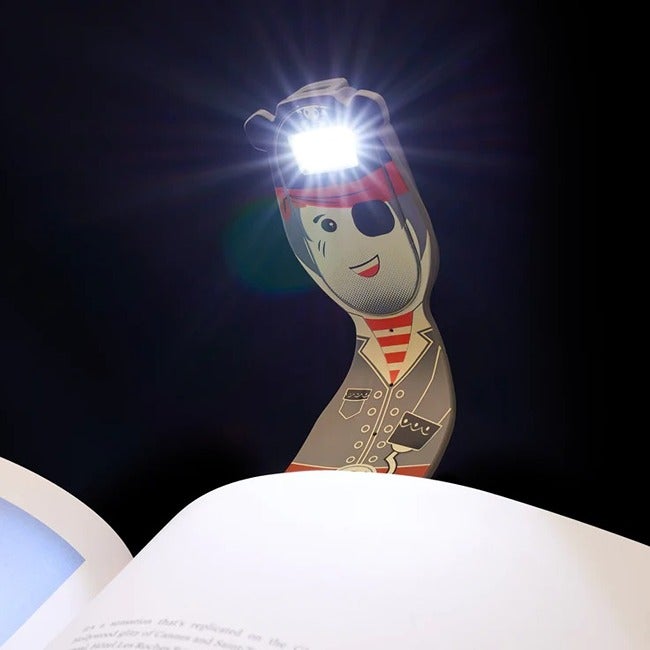 THINKING GIFTS FLEXILIGHT RECHARGEABLE PALS PIRATE