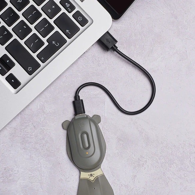 THINKING GIFTS FLEXILIGHT RECHARGEABLE PALS PIRATE